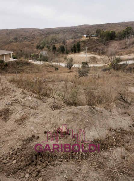 TERRENO ALPACORRAL